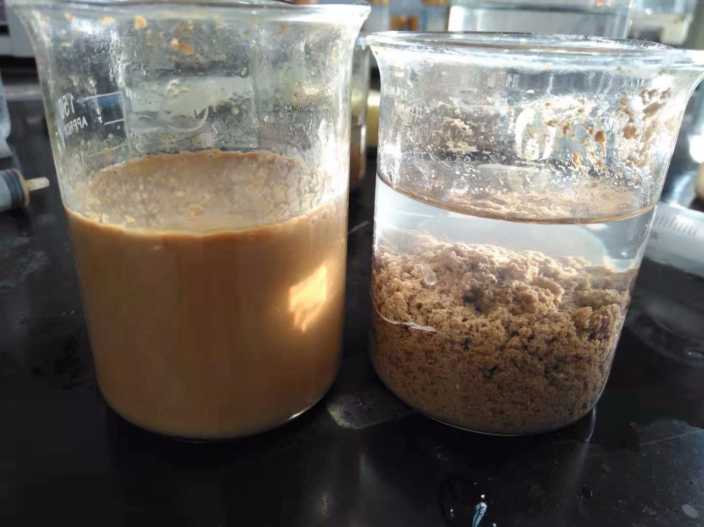 <a href='http://m.zgysshy.com/jsyj/992.html' target='_blank'><u>非離子聚丙烯酰胺生產廠家</u></a>