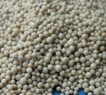 ϡɰ<a href='http://m.zgysshy.com/jsll/' target='_blank'><u>VaS</u></a>